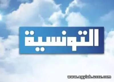 قناة التونسية البث المباشر